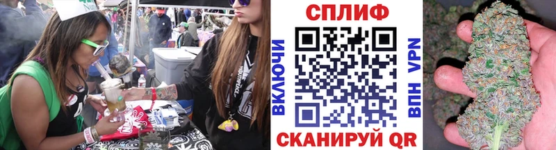 купить  сайты  Сим  Шишки марихуана индика 